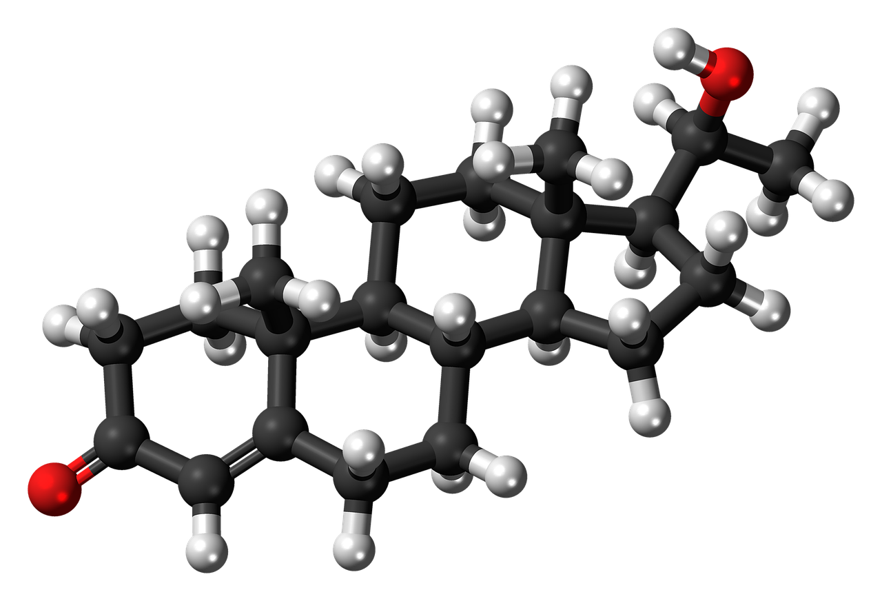 dihydroprogesterone molecule steroid free photo