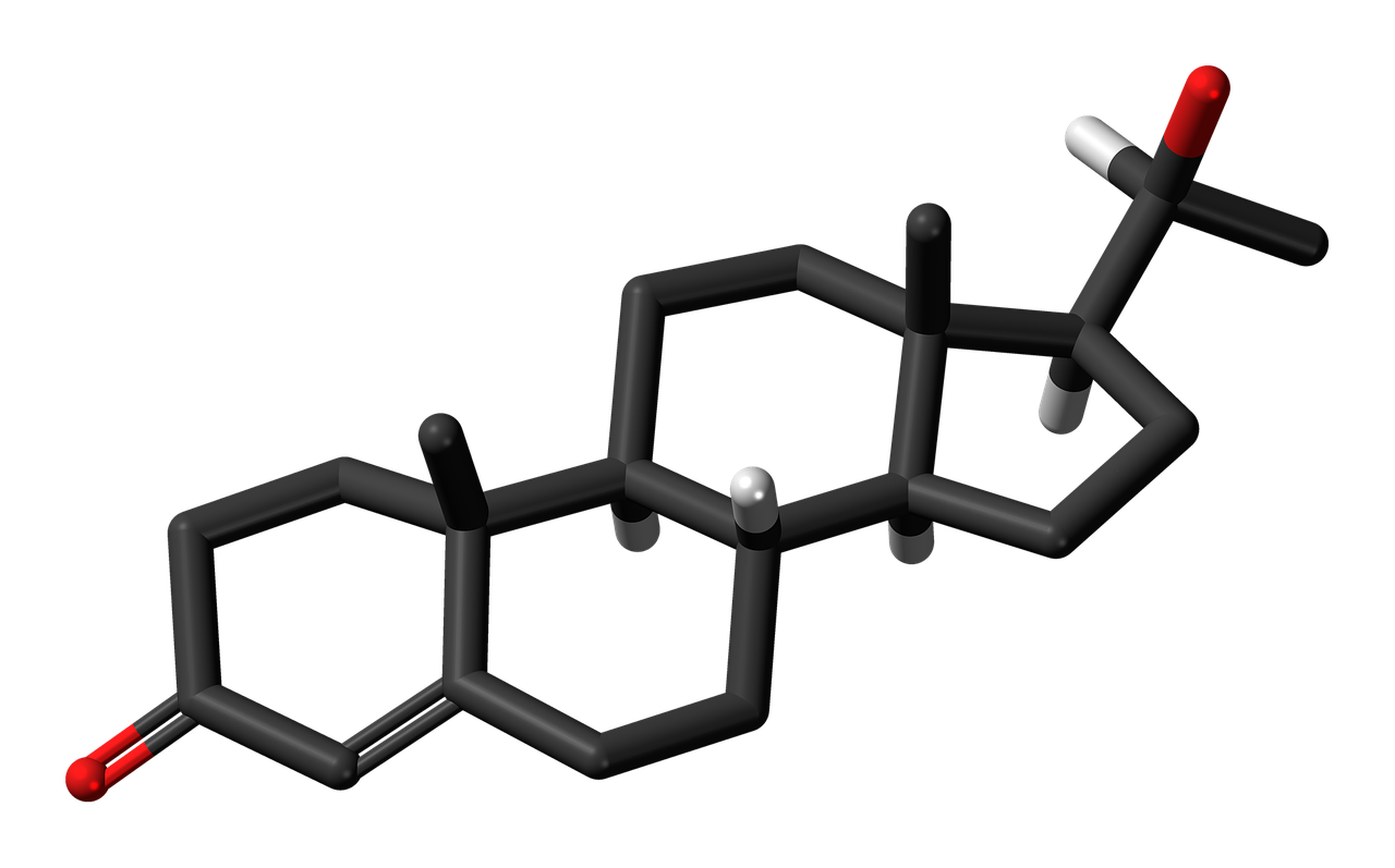 dihydroprogesterone molecule steroid free photo