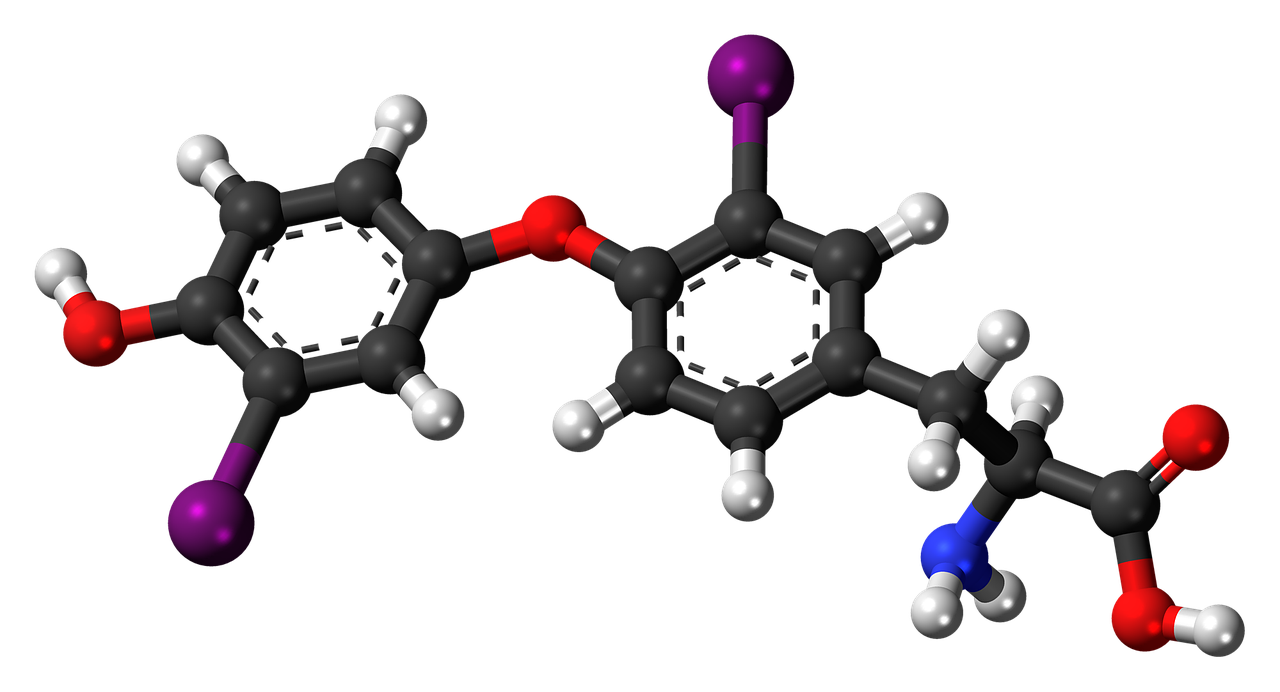 diiodothyronine molecule chemistry free photo
