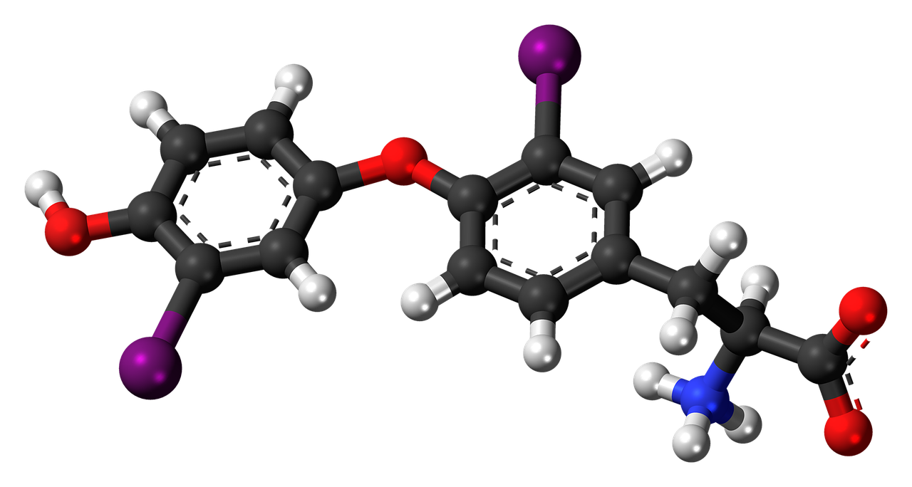 diiodothyronine molecule chemistry free photo