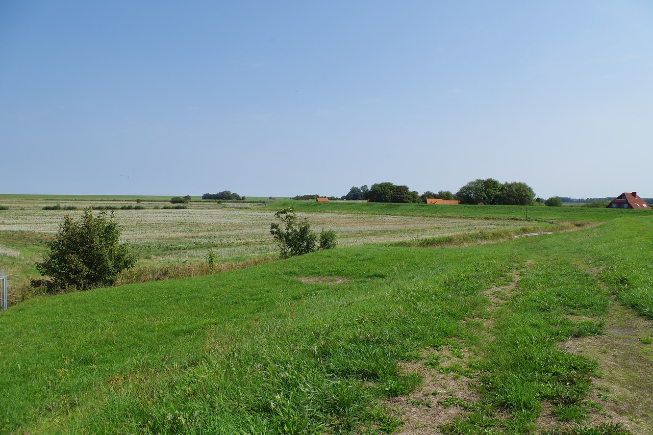 dike  east frisia  north sea free photo