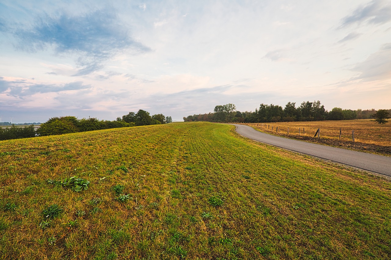 dike  meadow  bremen free photo