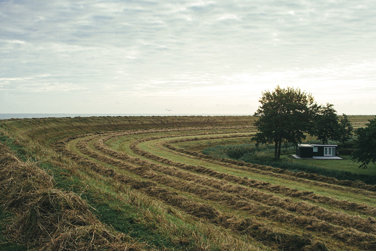 dike  mow  straw free photo