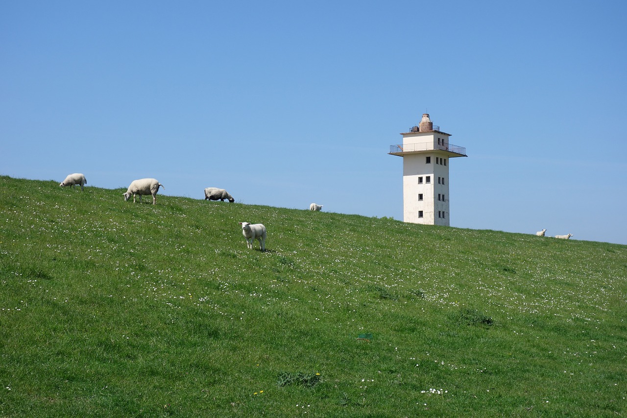 dike weser dyke blexen free photo