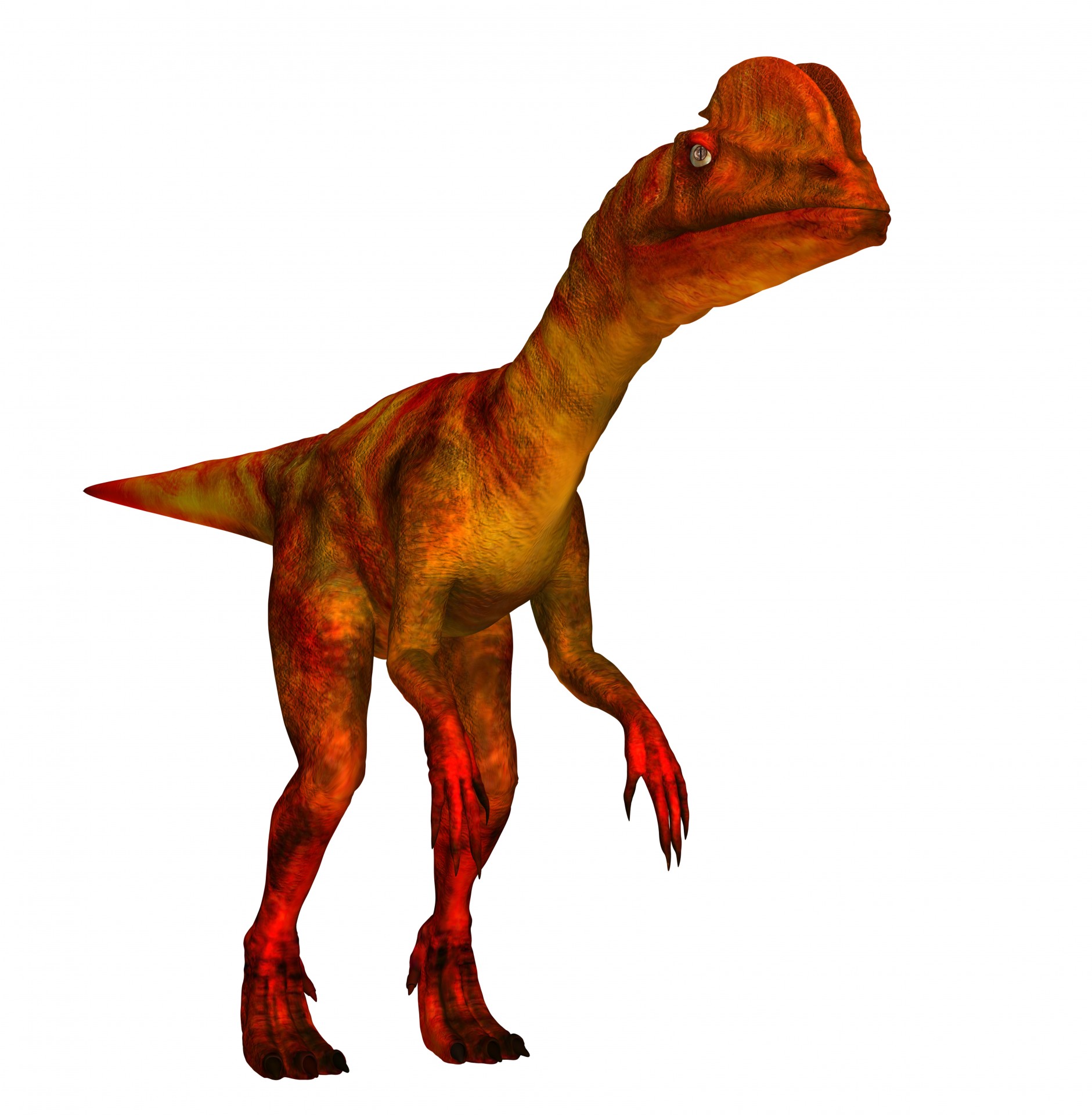 dilophosaurus dinosaur dinosaurs animal free photo