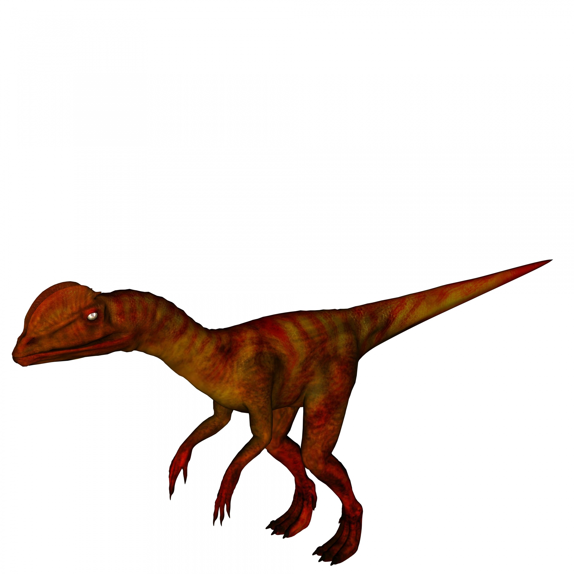 dilophosaurus animal isolated free photo