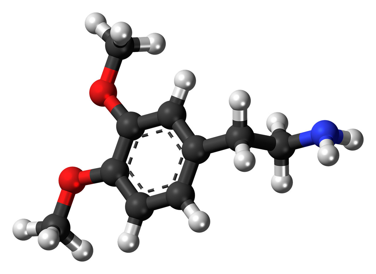 dimethoxyphenethylamine dopamine molecule free photo