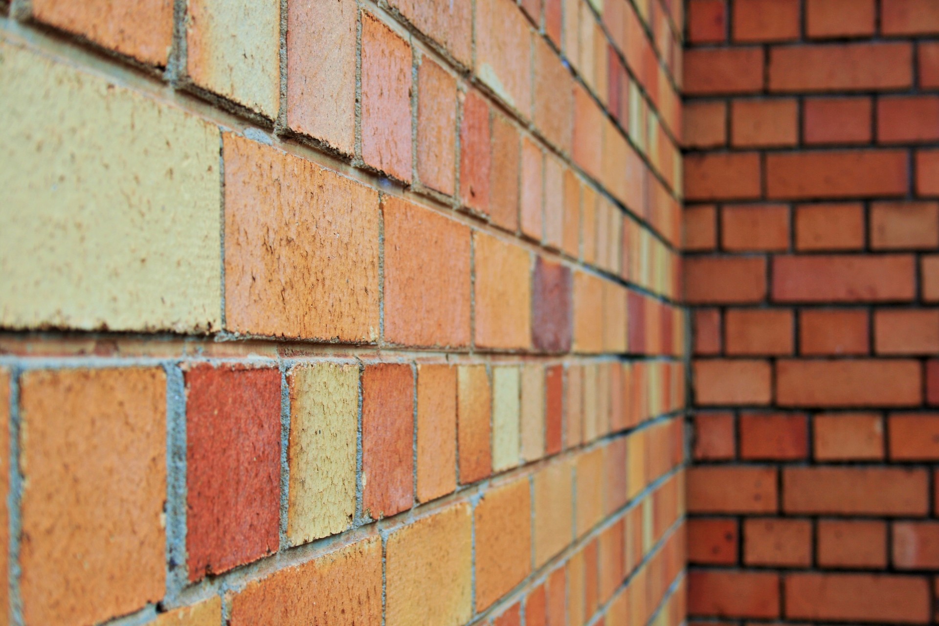 wall bricks yellow free photo