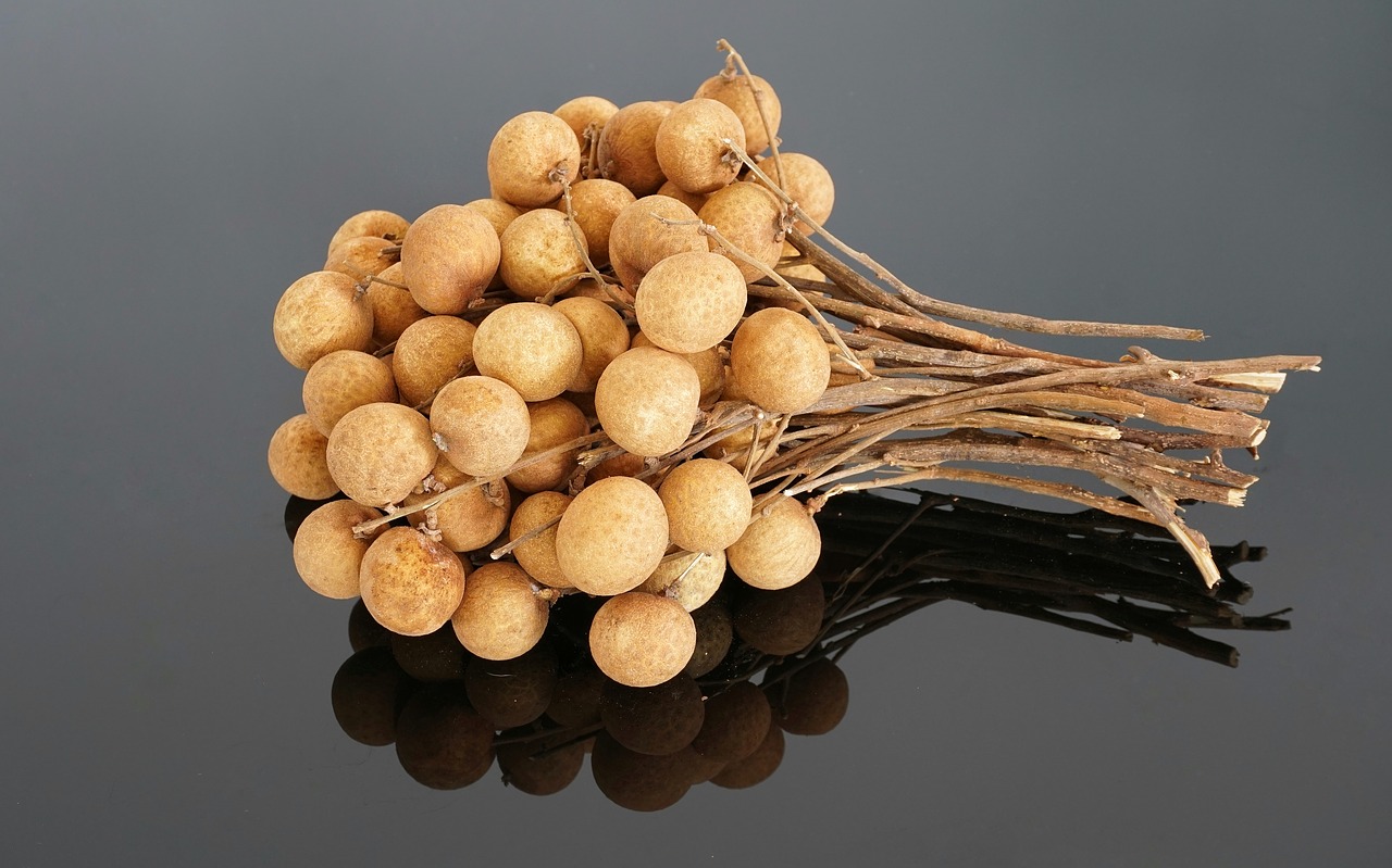 dimocarpus longan longan tropical free photo