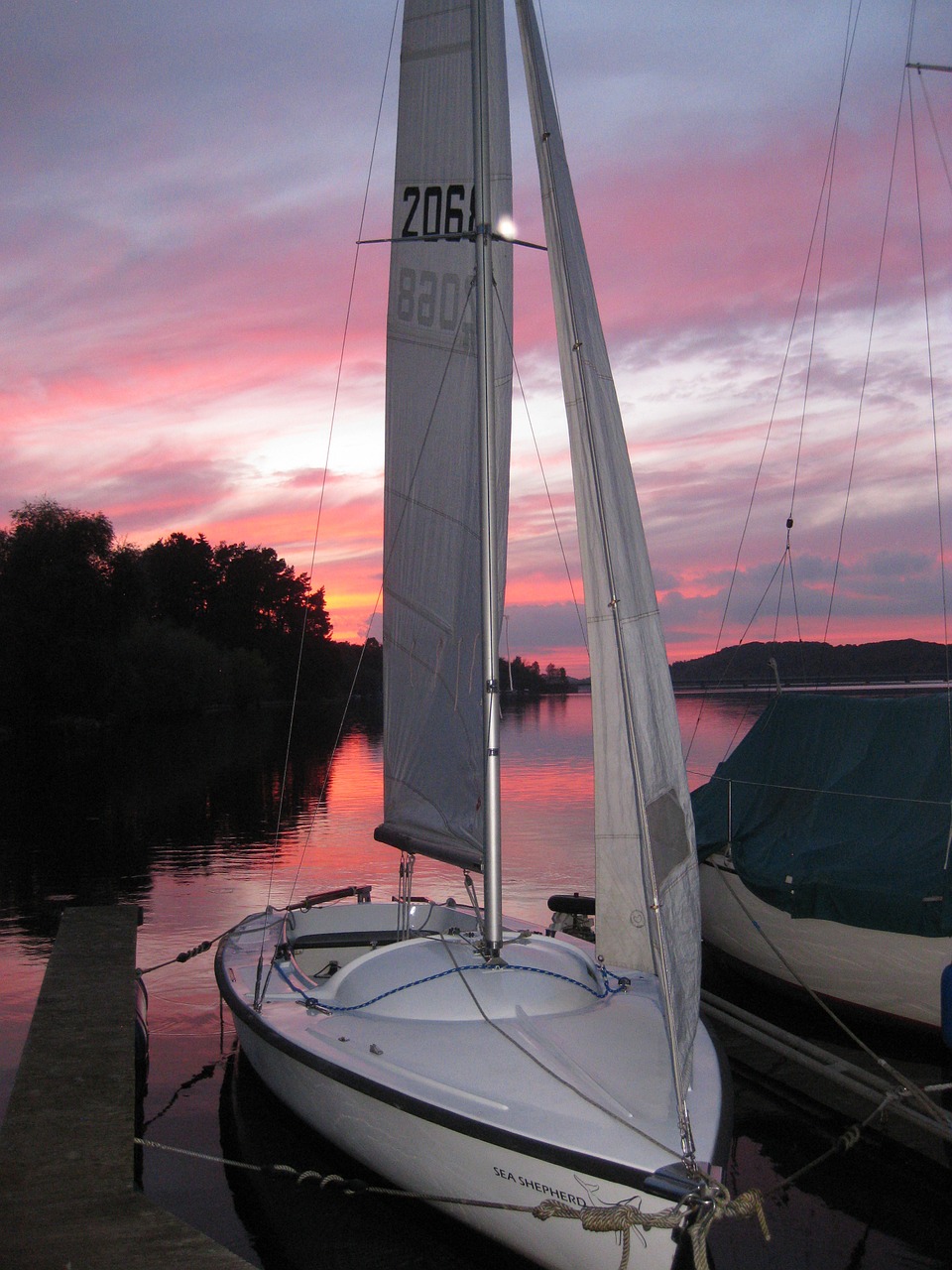 dinghy sailing boat sail free photo