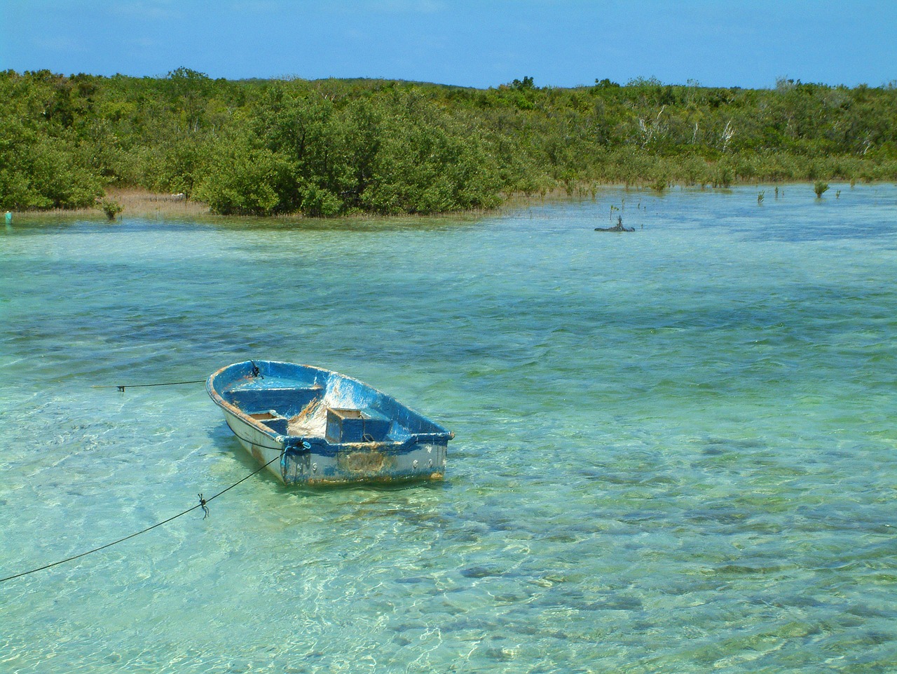 dingy ocean teal free photo