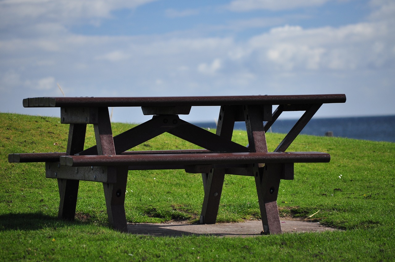 dining table bench picnic table free photo