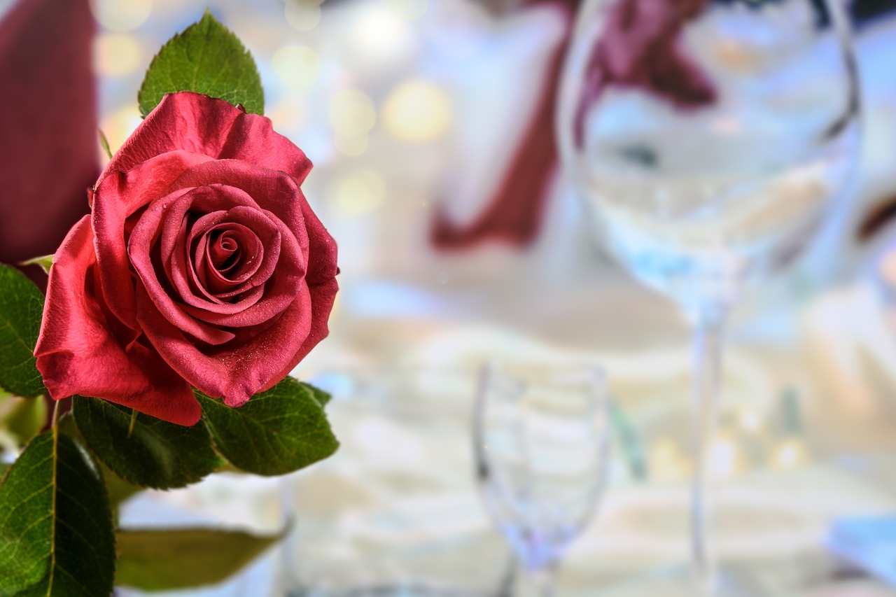 dinner red rose love free photo