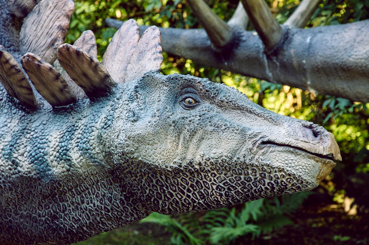 dinopark dinosaur stegosaurus free photo