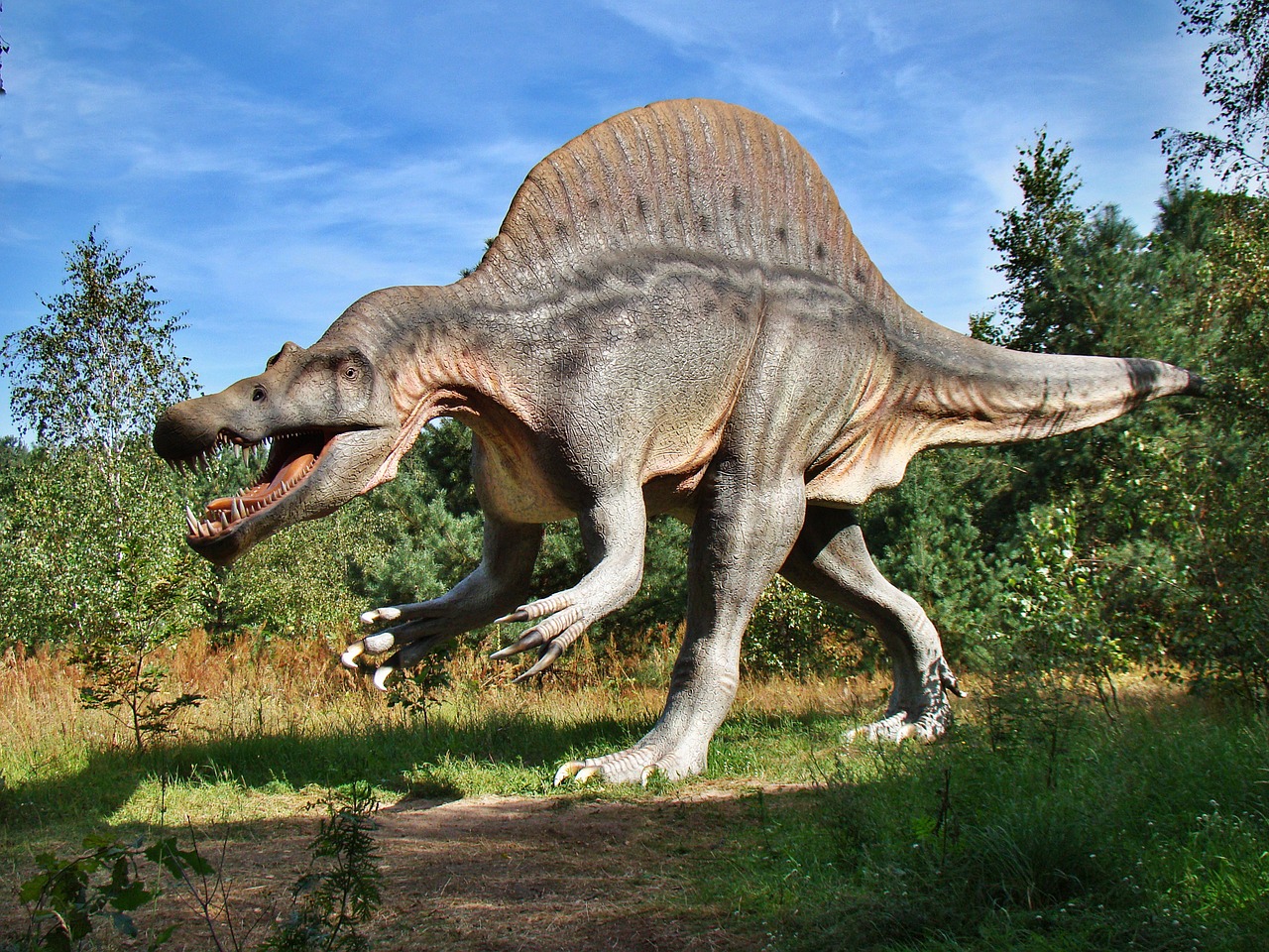 dinosaur dinosaur park model free photo
