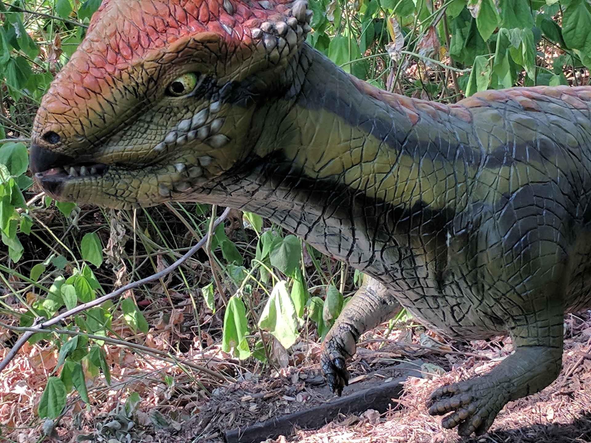 dinosaur dinosaurs jurassic park free photo