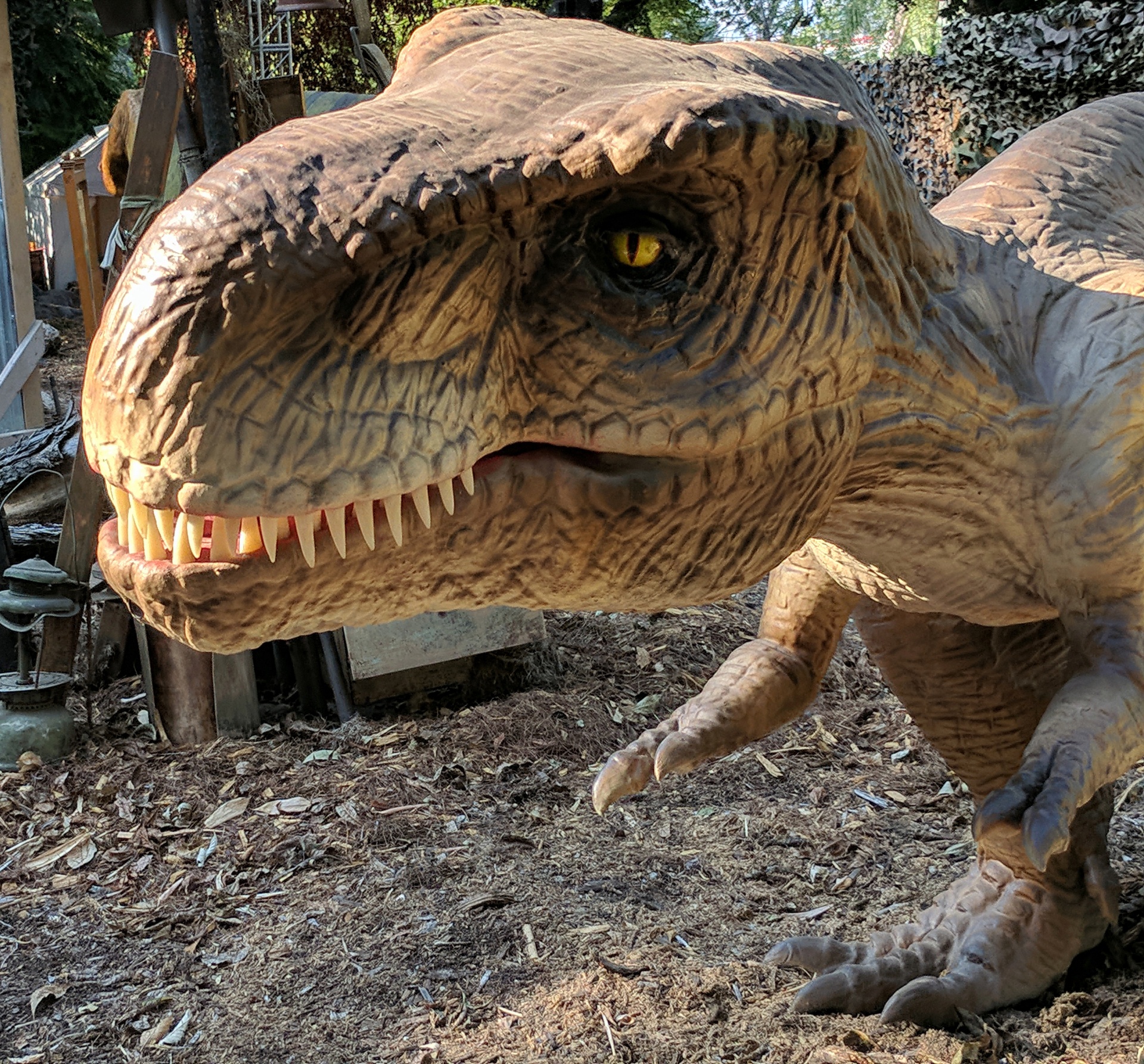 dinosaur dinosaurs jurassic park free photo