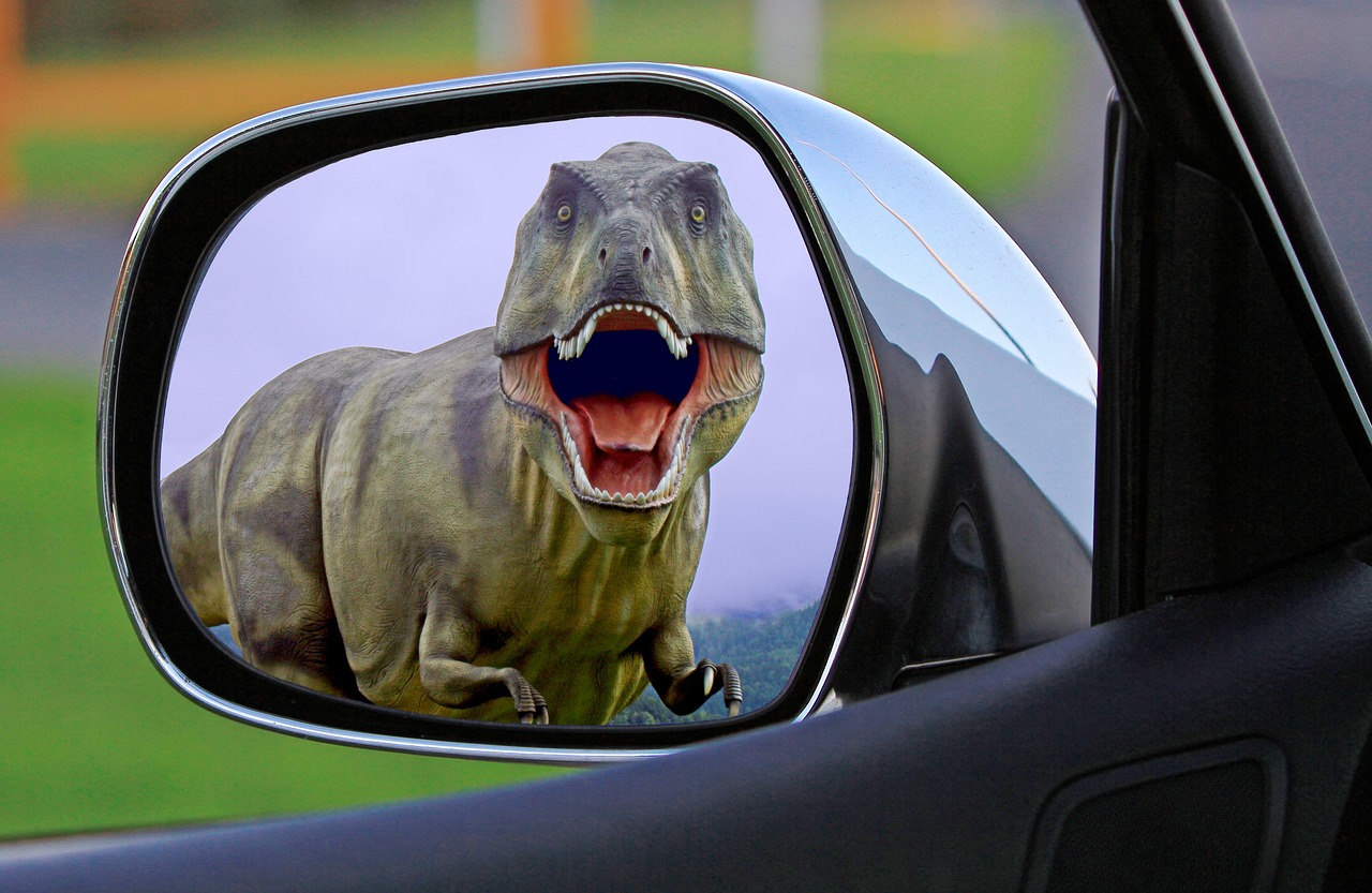 dinosaur mirror wing mirror free photo
