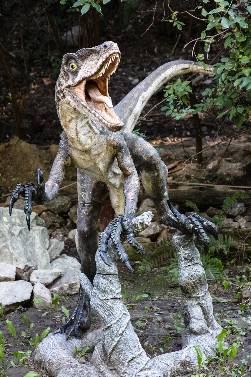 dinosaur velociraptor dinopark free photo