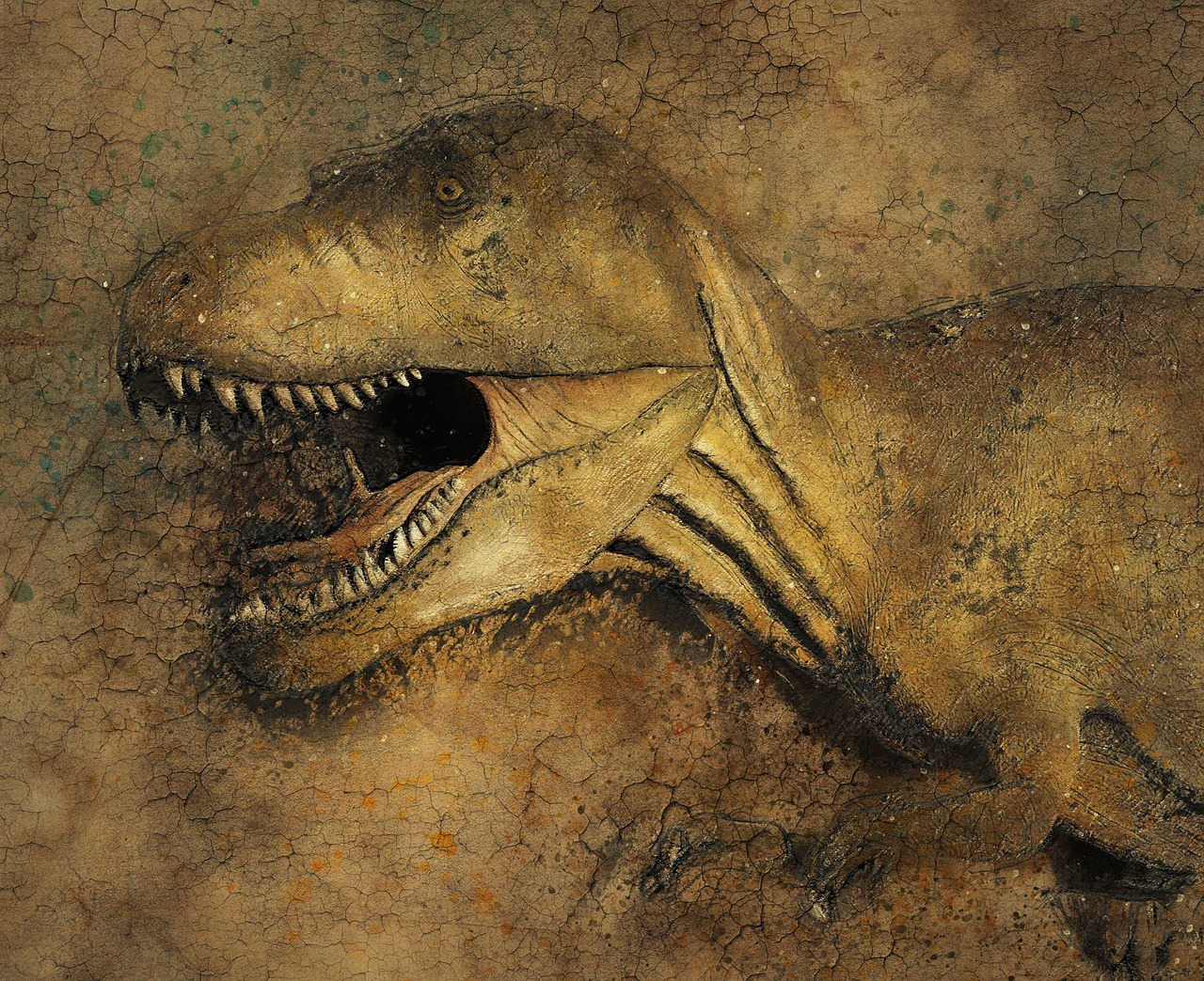 dinosaur background texture free photo