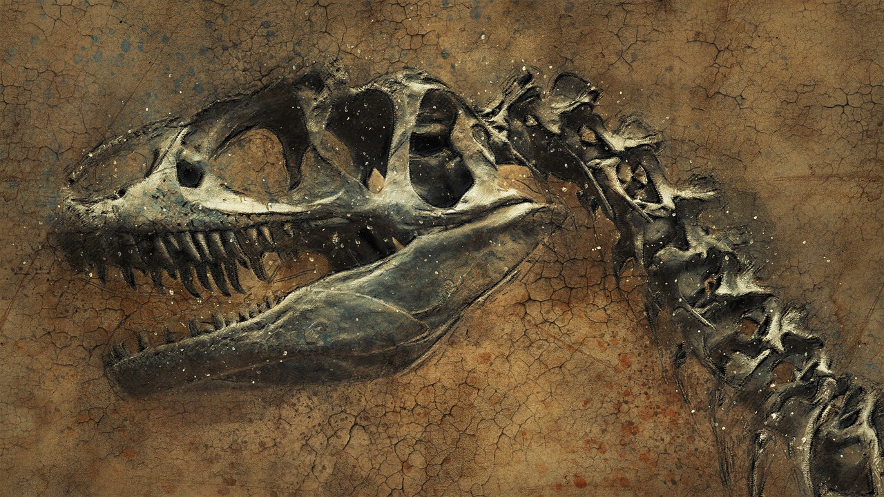 dinosaur skeleton background free photo