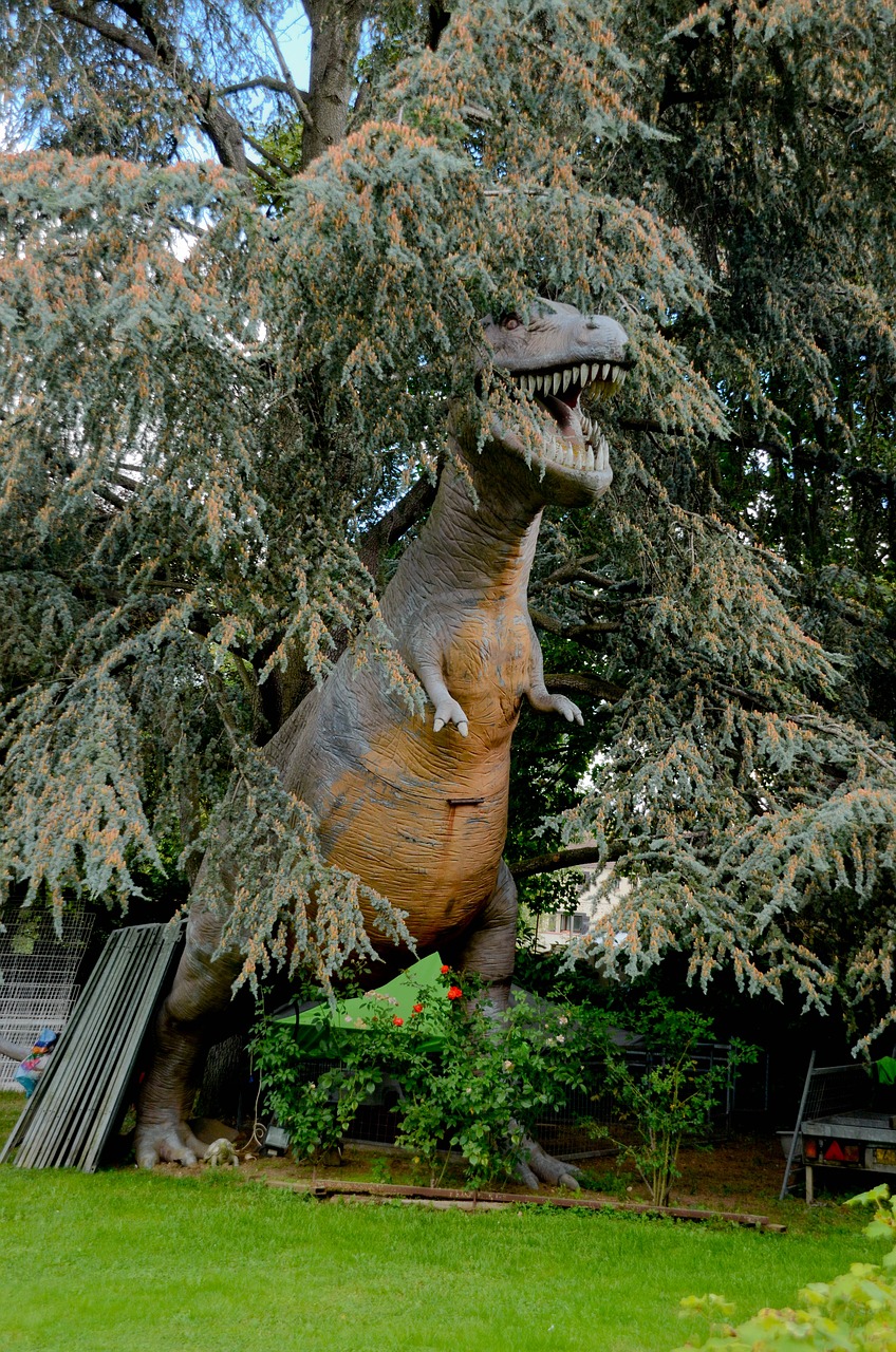 dinosaur park prehistory free photo