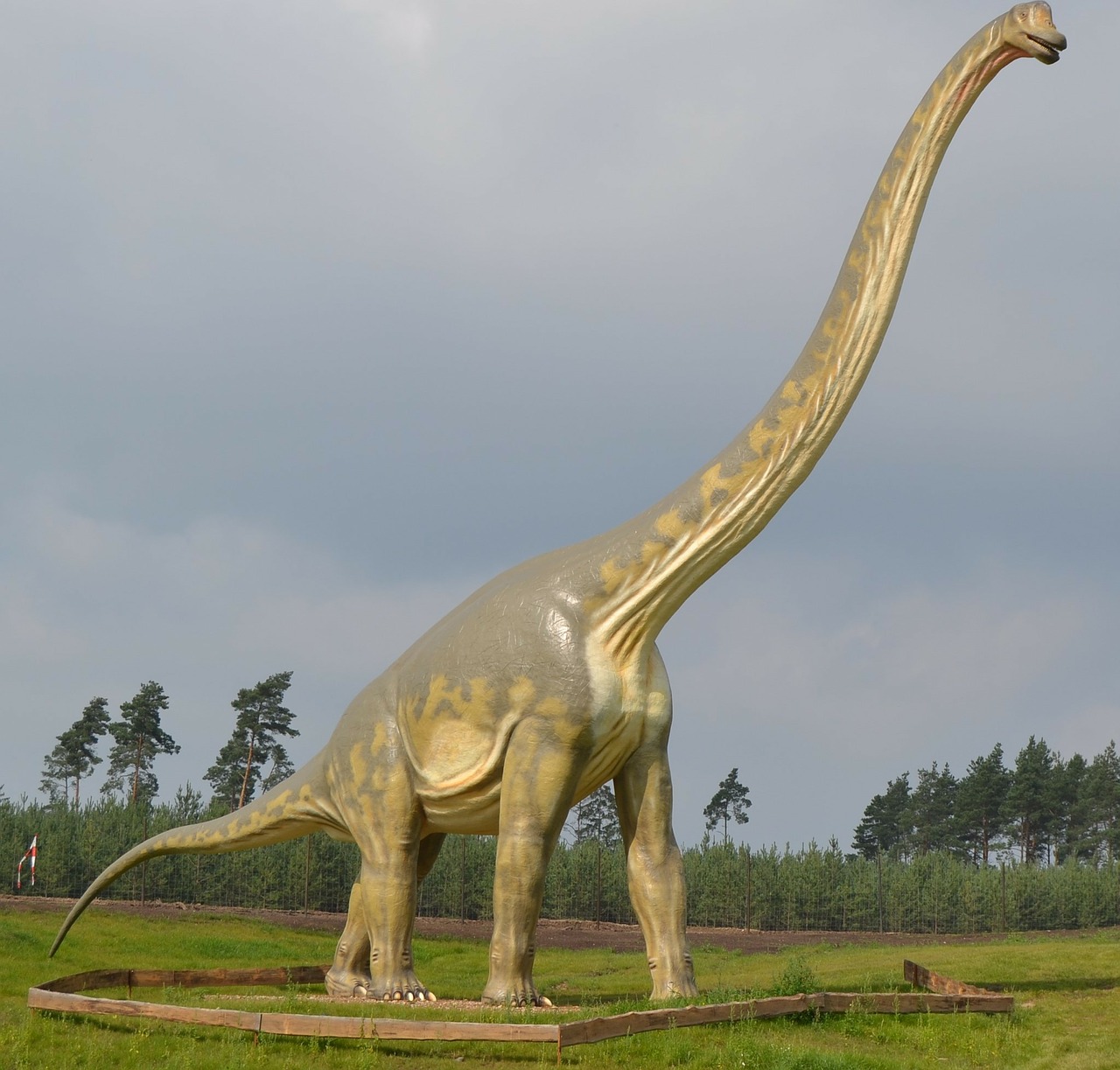 dinosaur brontosaurus sauropods free photo