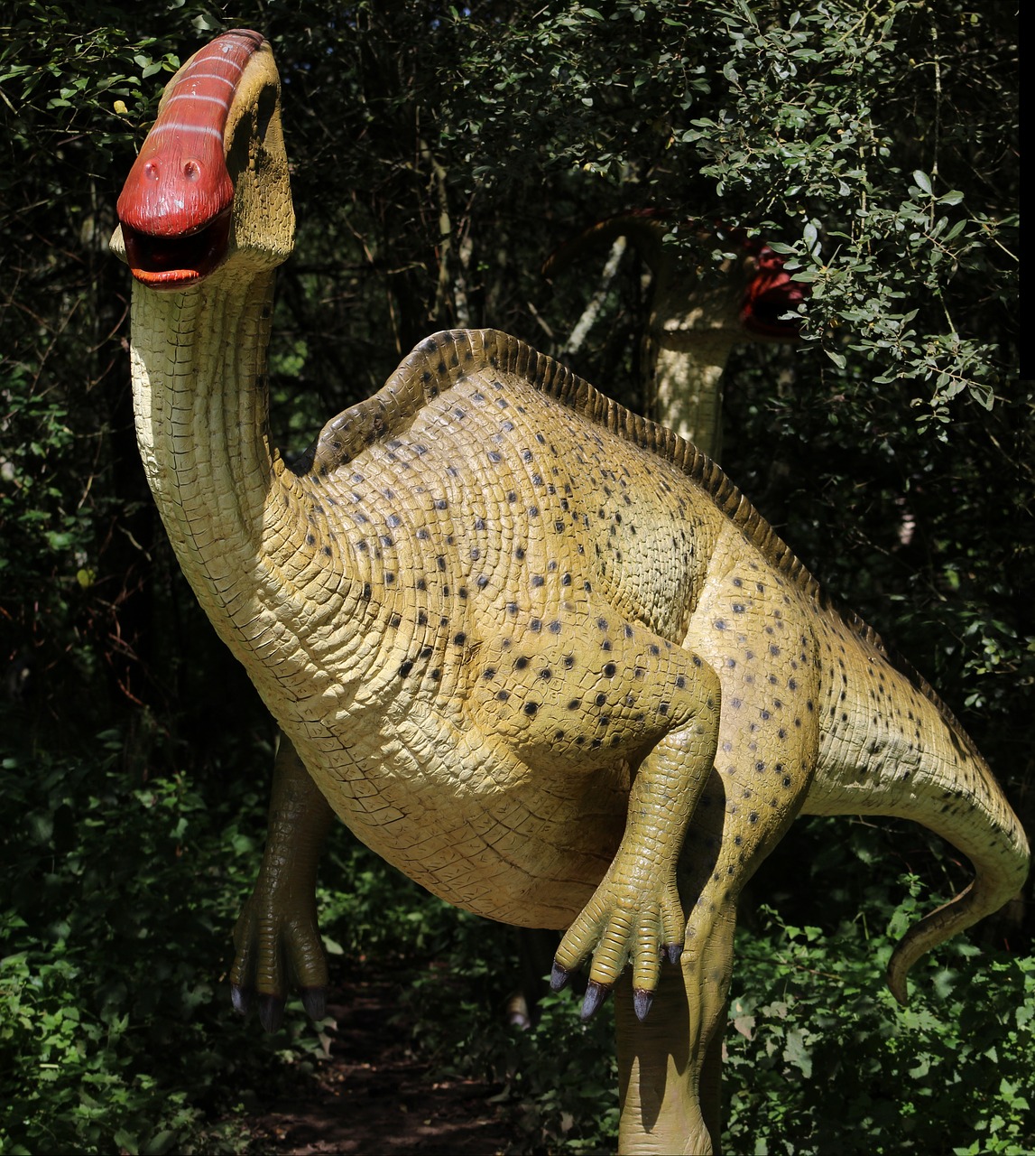 dinosaur reptile prehistoric free photo