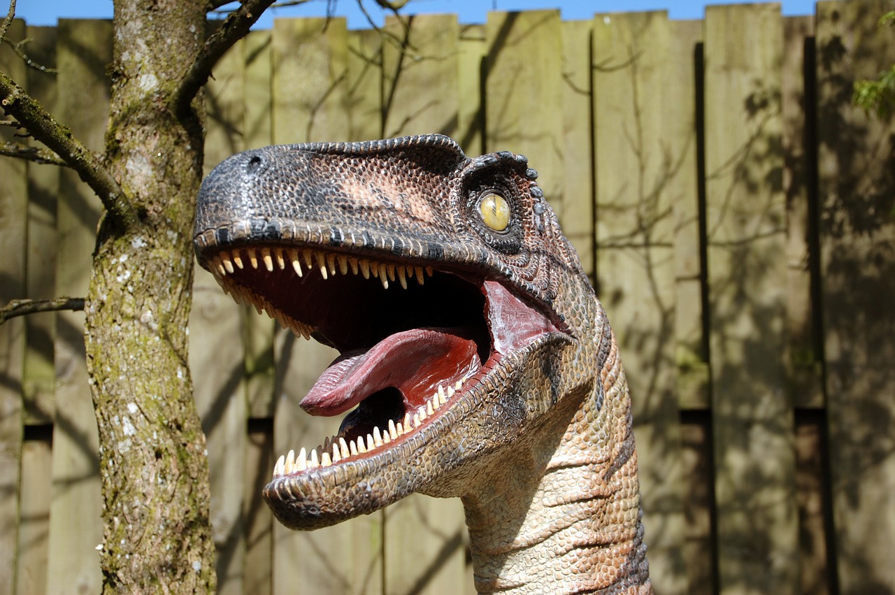 dinosaur teeth predator free photo