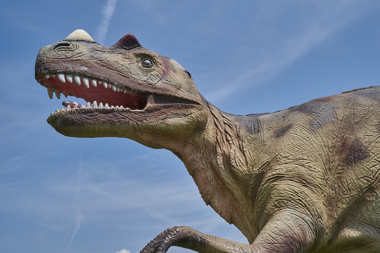 dinosaur  prehistoric  carnivores free photo