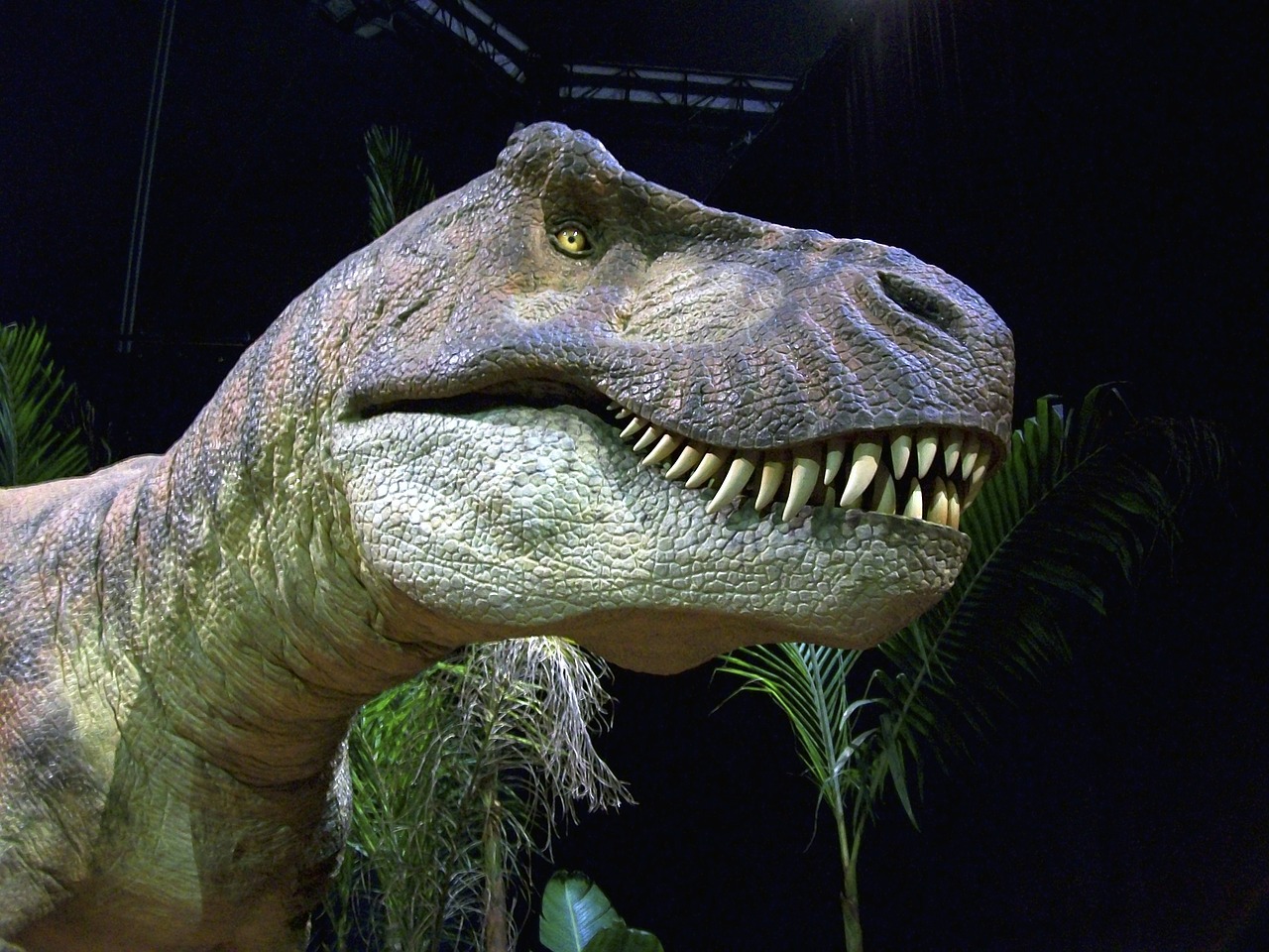 dinosaur trex t-rex free photo