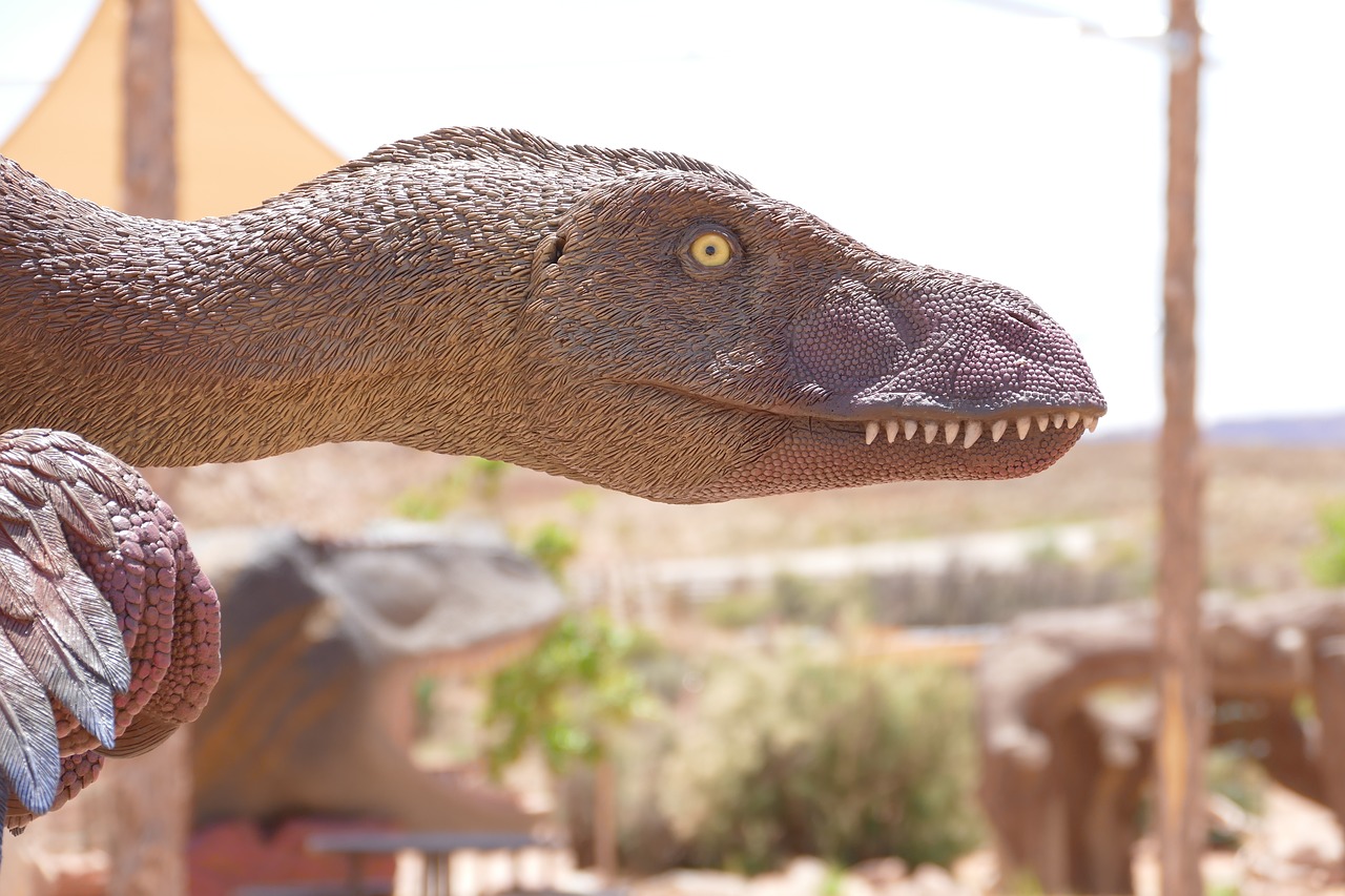 dinosaur  raptor  velociraptor free photo