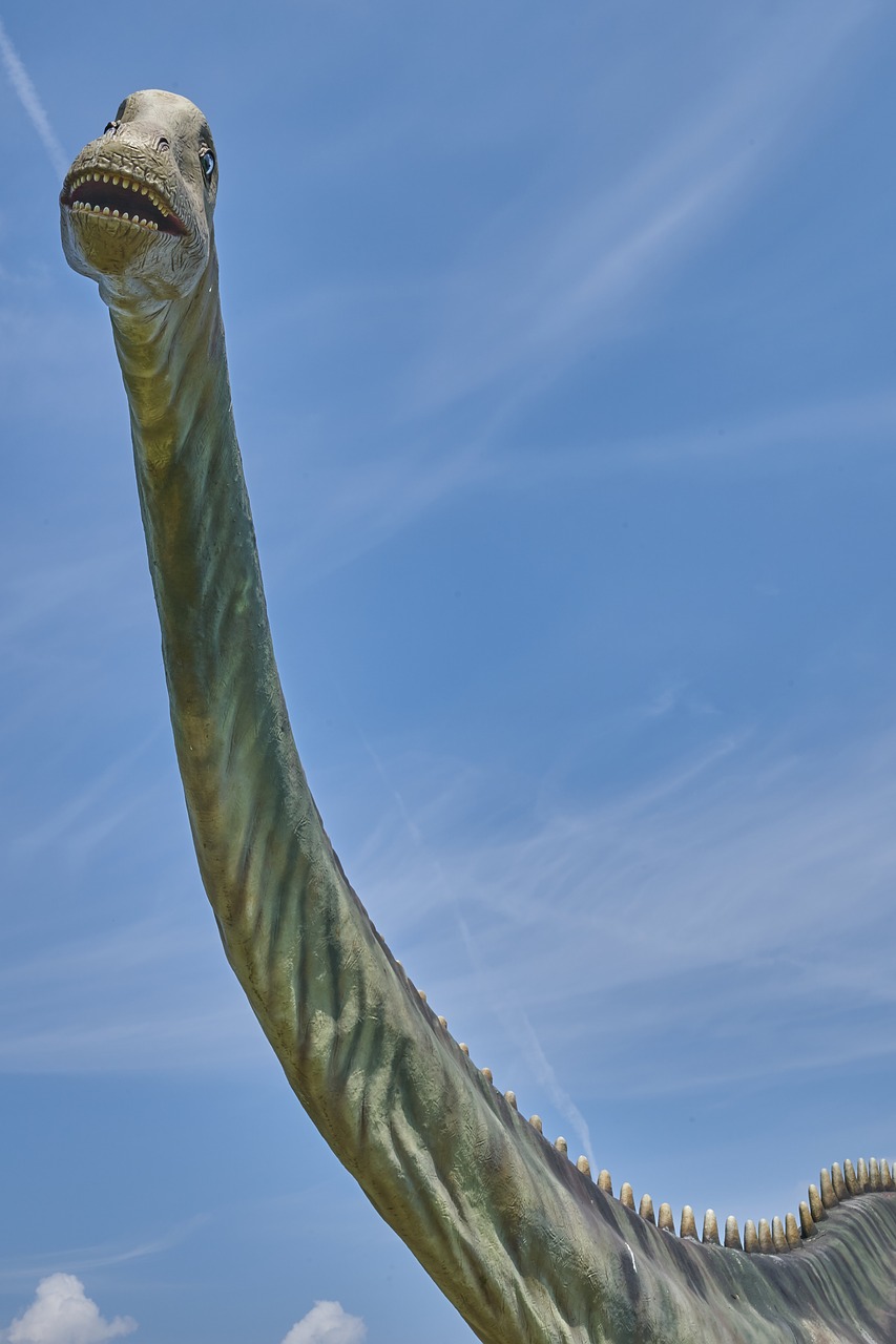 dinosaur  sky  head free photo