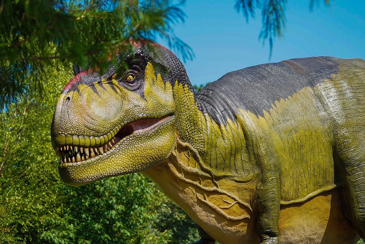 dinosaur  t-rex  predator free photo
