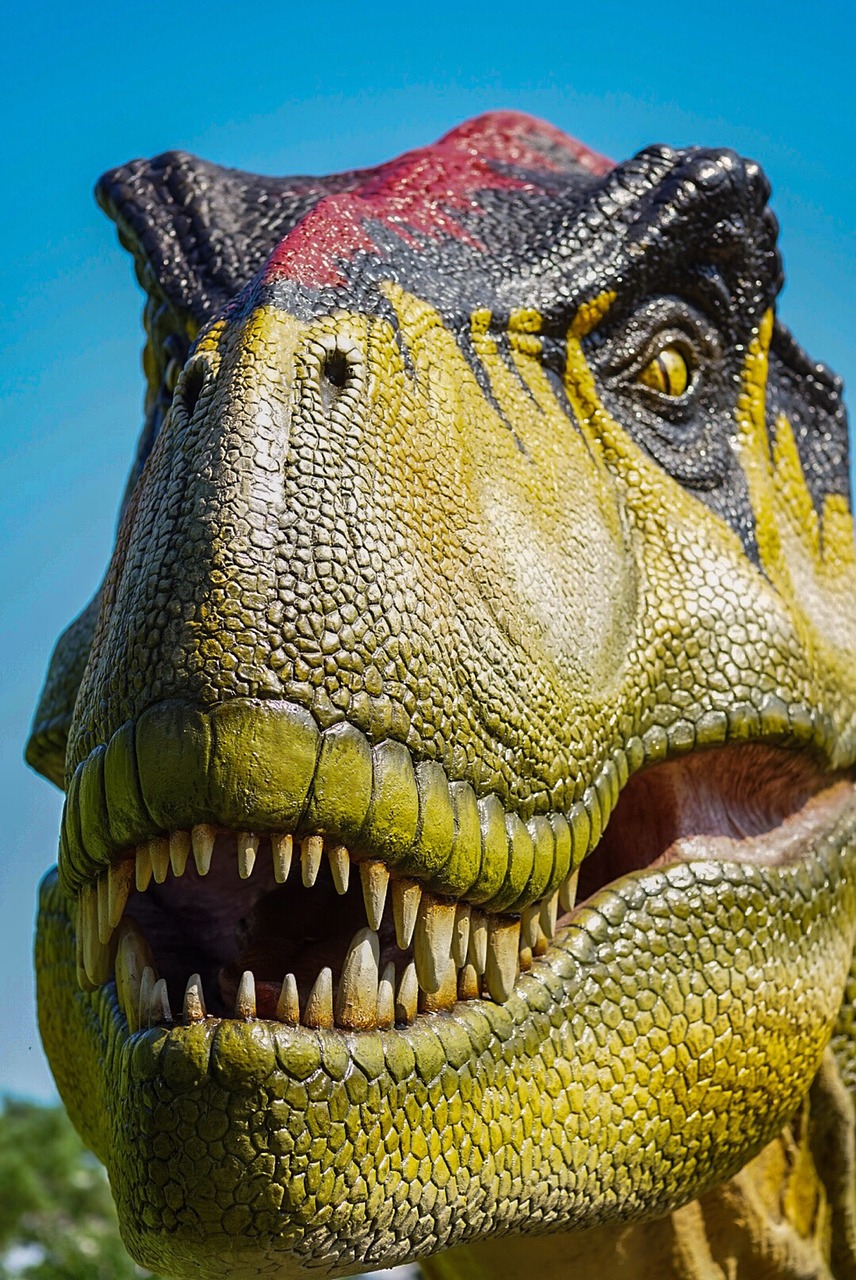dinosaur  rex  teeth free photo
