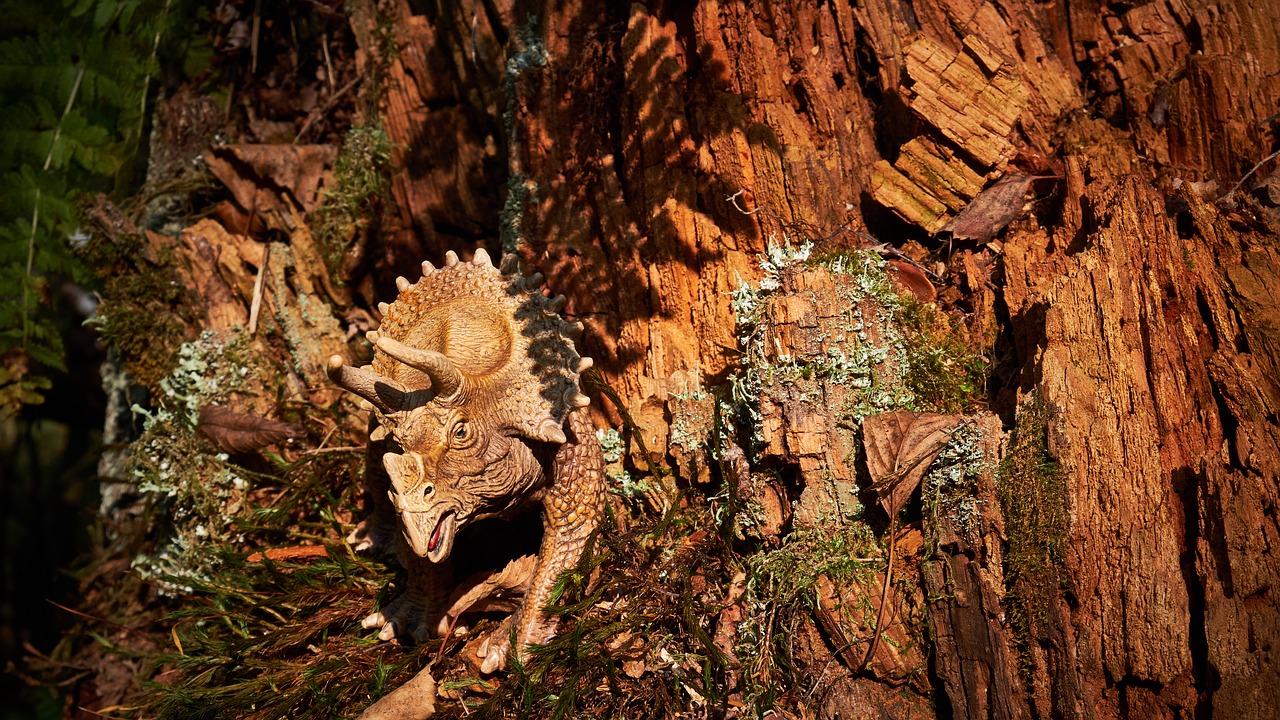 dinosaur  forest  dino free photo