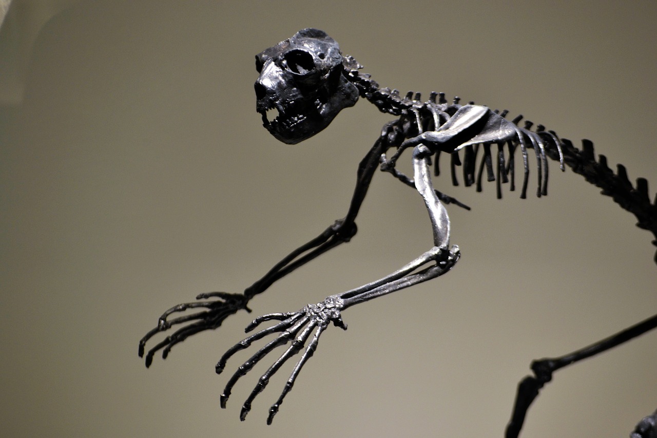 SCP скелет динозавра