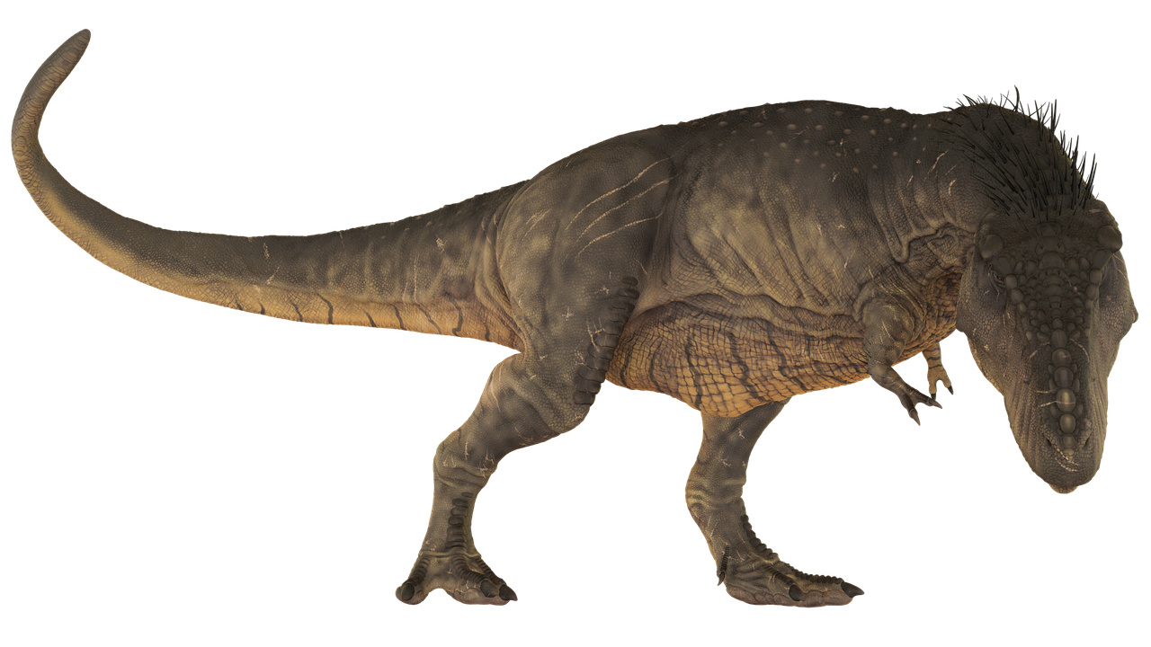 dinosaur  tirannosaurus  extinct free photo