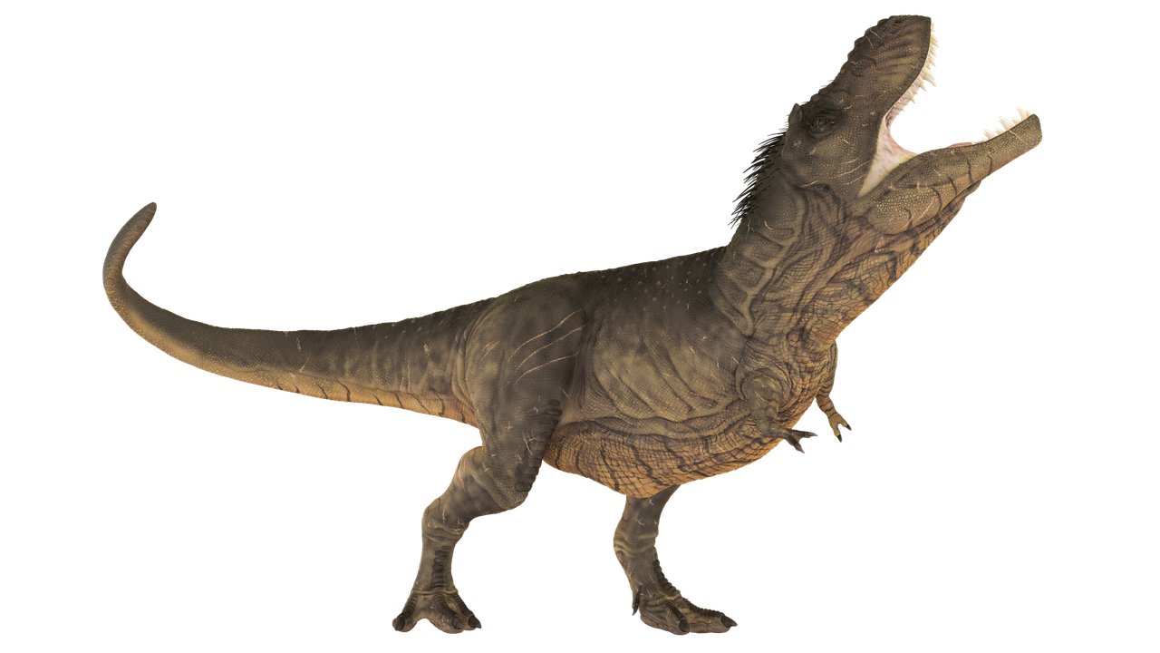 dinosaur  tyrannosaurus  extinct free photo