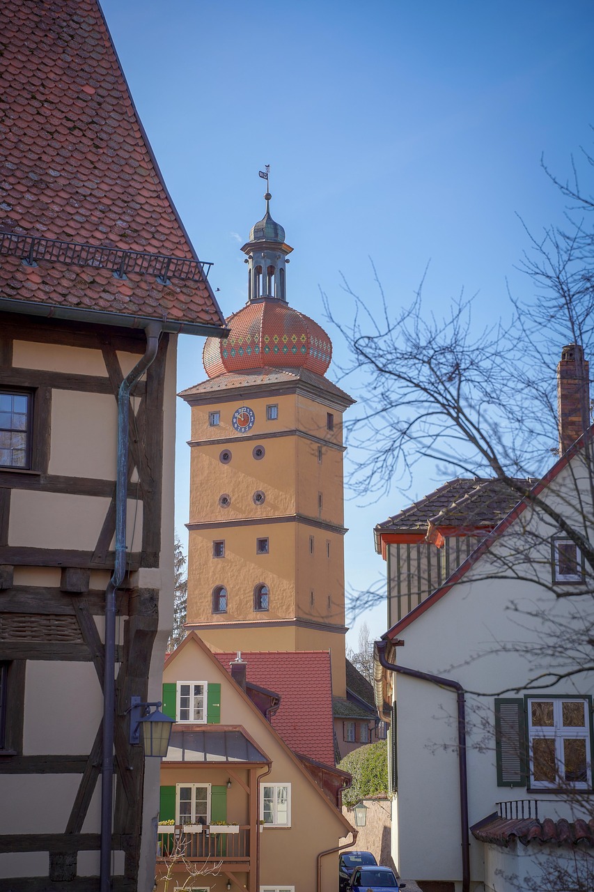 dinosaur  fachwerkhaus  tower free photo