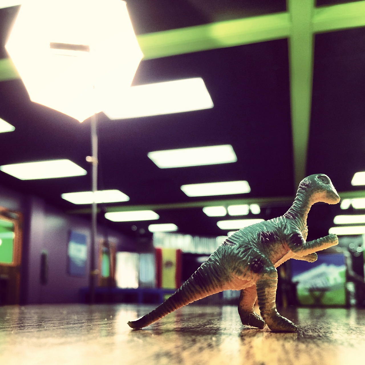 dinosaur light funny free photo