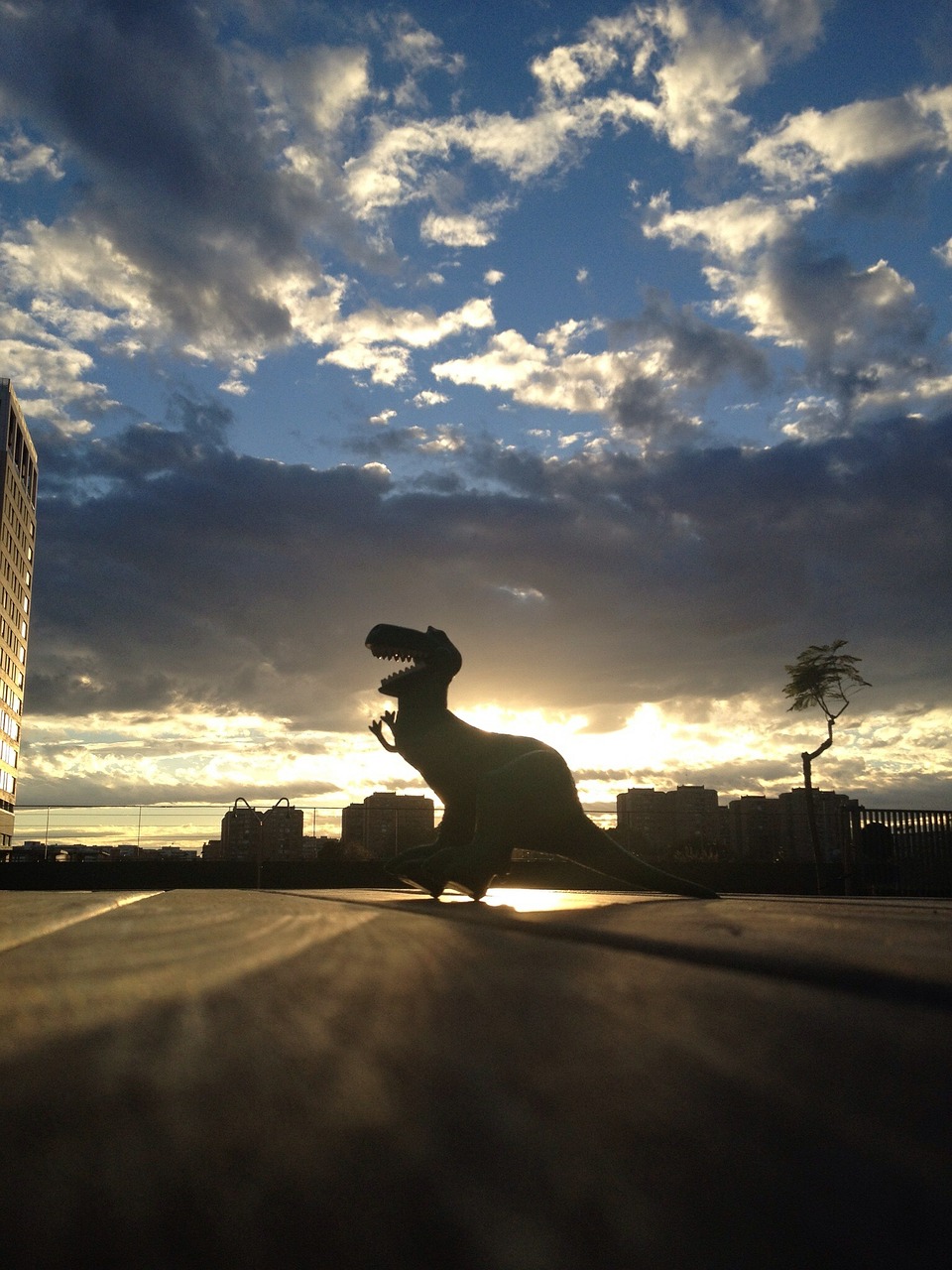 dinosaur sky backlight free photo