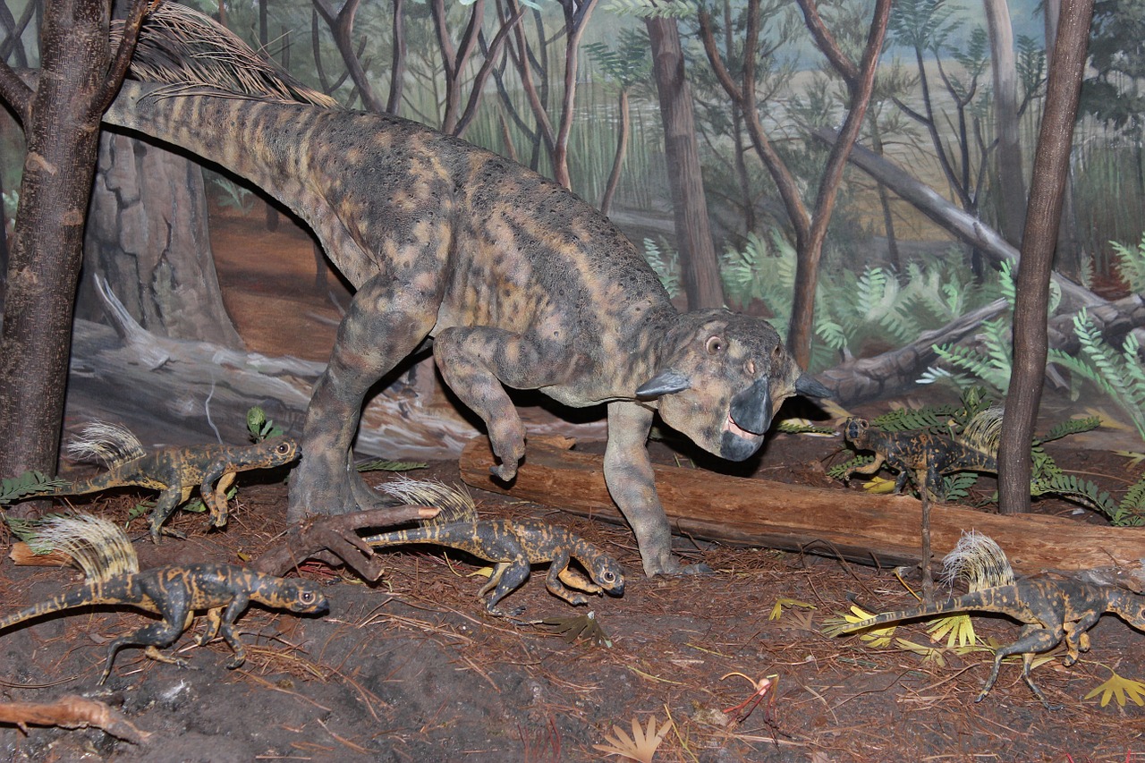 dinosaur psittacosaurus psittacosaurus mongoliensis free photo