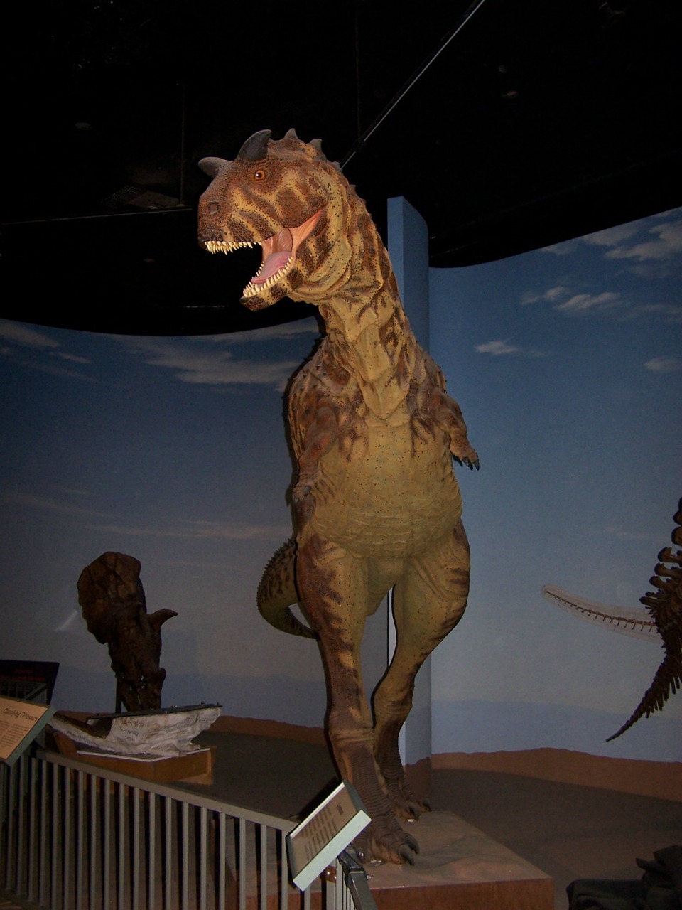 dinosaur museum model free photo