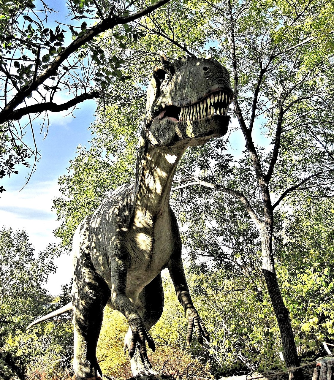 dinosaur alberta calgary free photo