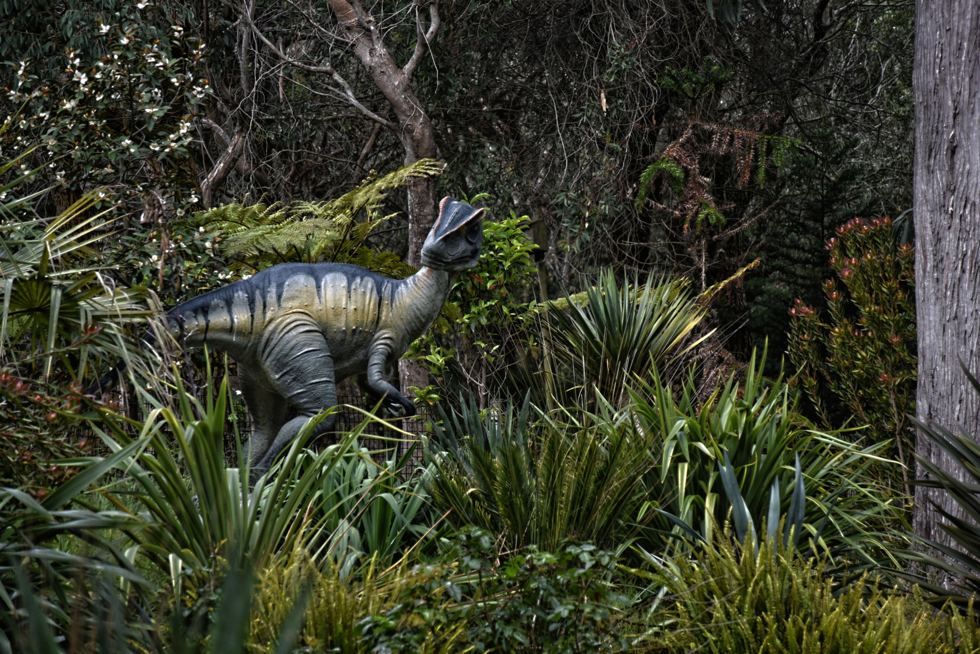 dinosaur replica diorama free photo
