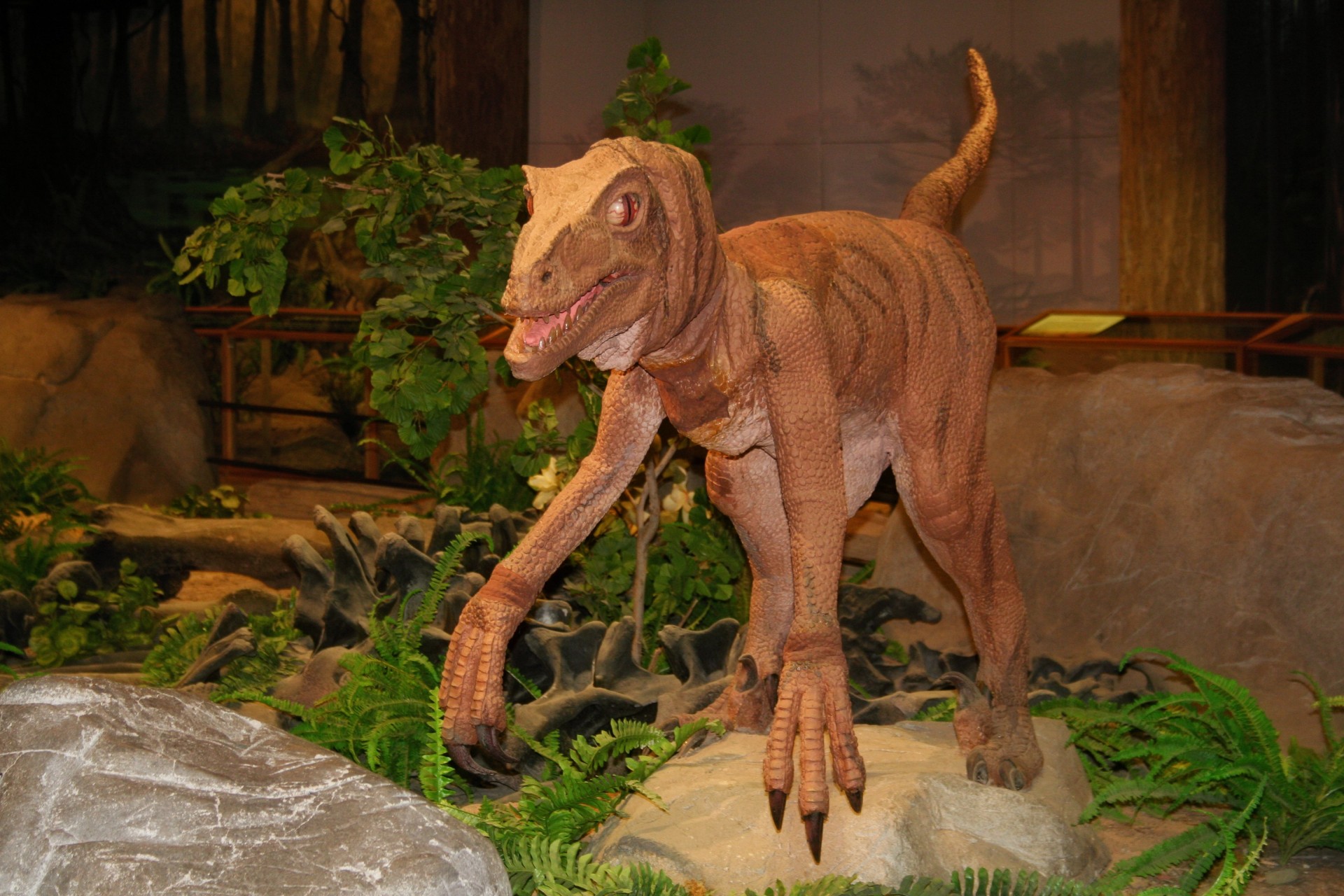 dinosaur prehistoric museum free photo