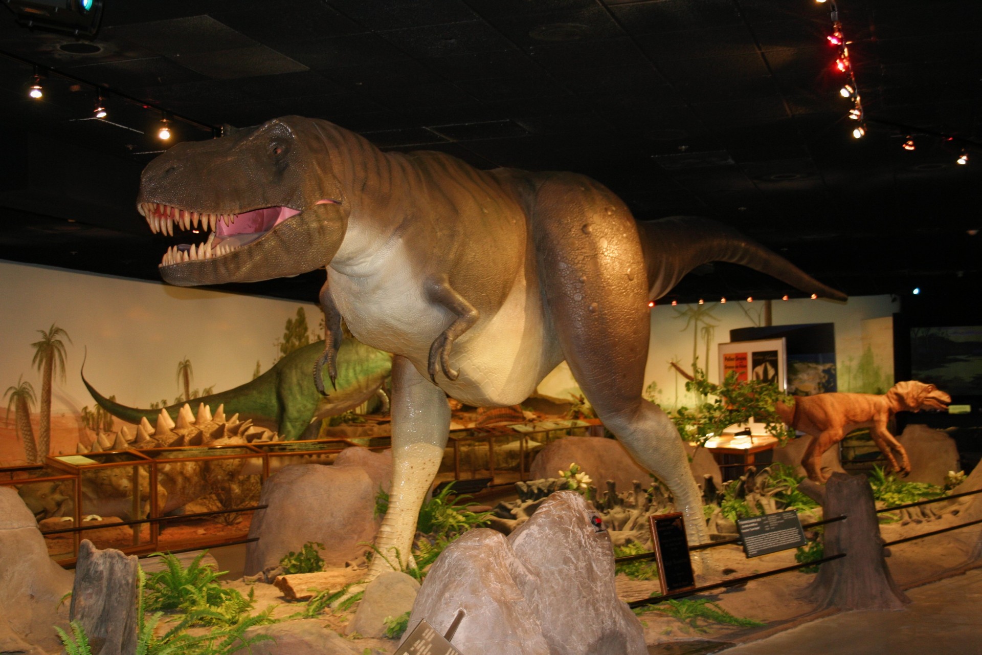 dinosaur prehistoric museum free photo