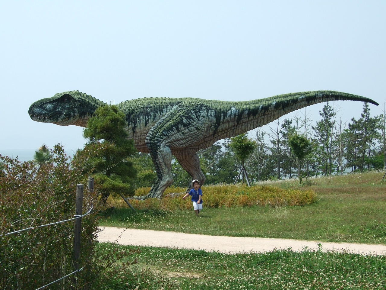 dinosaur museum dinosaurs herbivorous free photo