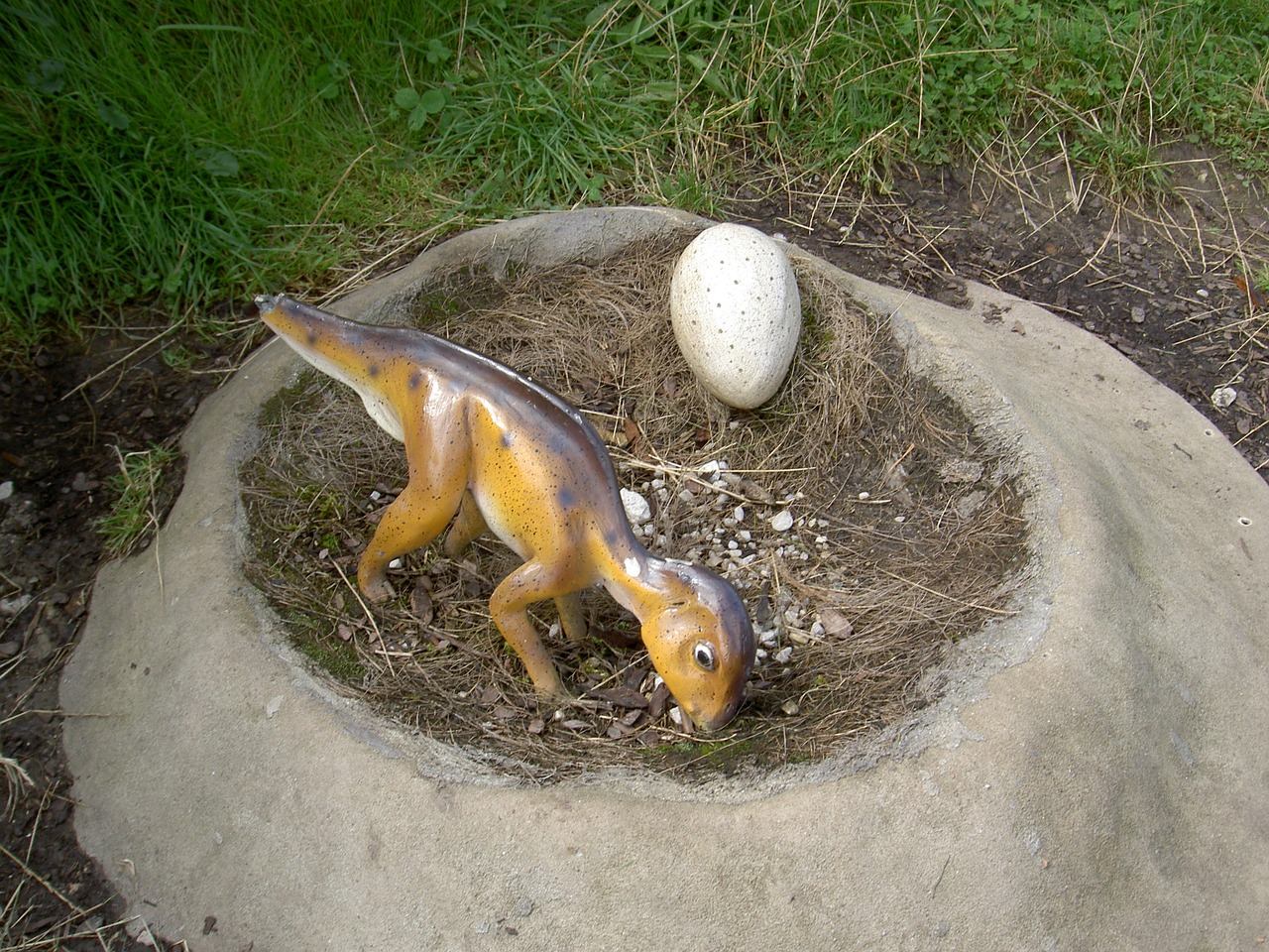 dinosaur nest egg earth free photo
